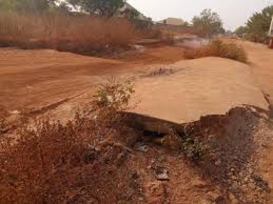 The 2019 Otoge Struggle: A Coalition Abused By The Temu Governor For Over Seven Years…
