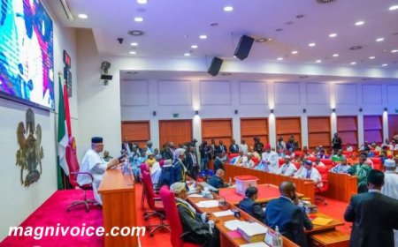 Nigeria’s Dual Party Ban Proposal: A Power Play or Democratic Safeguard Ahead of 2027?