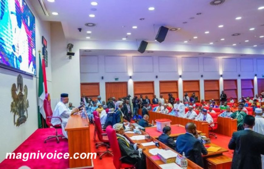 Nigeria’s Dual Party Ban Proposal: A Power Play or Democratic Safeguard Ahead of 2027?