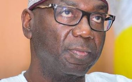 The 2019 Otoge Struggle: A Coalition Abused By The Temu Governor For Over Seven Years…